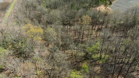 Bell-slough-wildlife-area-with-early-spring-foliage,-aerial-view