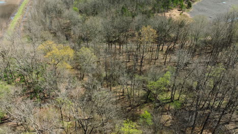área de vida silvestre de bell slough con follaje de primavera temprana, vista aérea