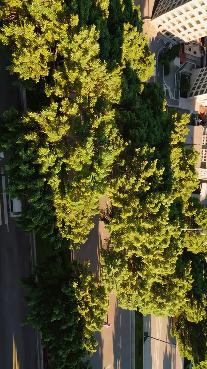 Paisaje urbano con árboles y apartamentos.