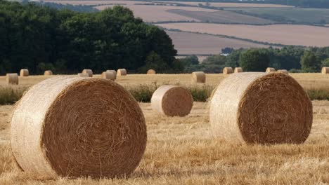 fianzas redondas de heno en el campo en inglaterra