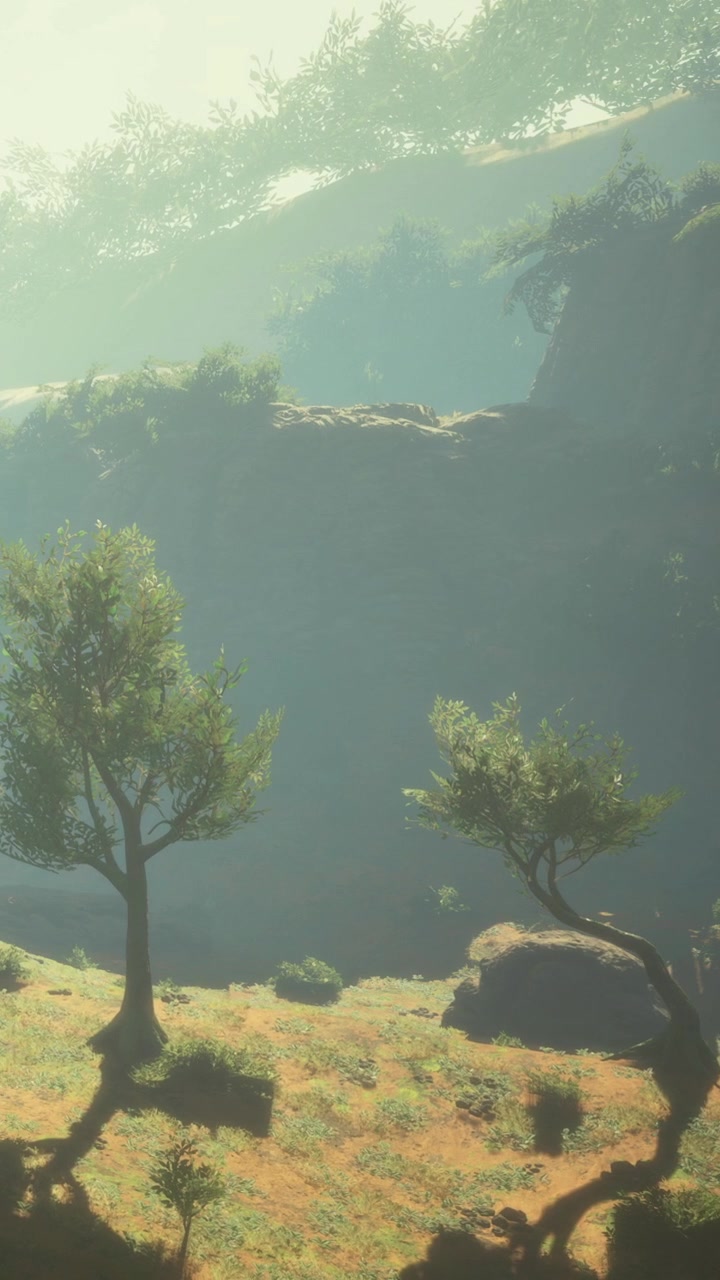 La nebbia copre alberi e rocce in un paesaggio naturale di giorno.
