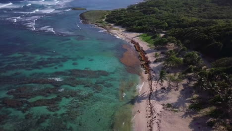 Aerial,-flying-above-a-sand-beach-with-palm-trees