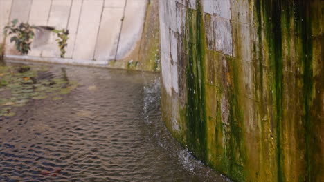 small and relaxing waterfall inside a fish pond with a white wall and seaweed on it - slow motion