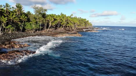 forward motion then descent looking onto natural hawaii beach with native forest and volcanic rocks with pacific ocean waves