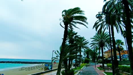 a calm beach promenade with swaying palm trees and the canary islands' seaside vibe