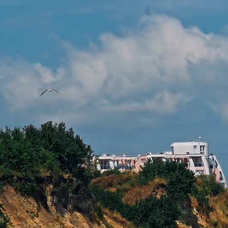 las gaviotas volando en el cielo azul soleado