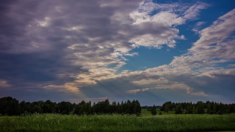 static shot of white clouds blowing over trees surrounded by white flowers over green grasslands in timelapse during springtime