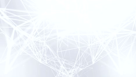 abstract plexus network luxury and titles network of connected lines and dots particles. network connections soft clean corporate business presentation seamless loop background.