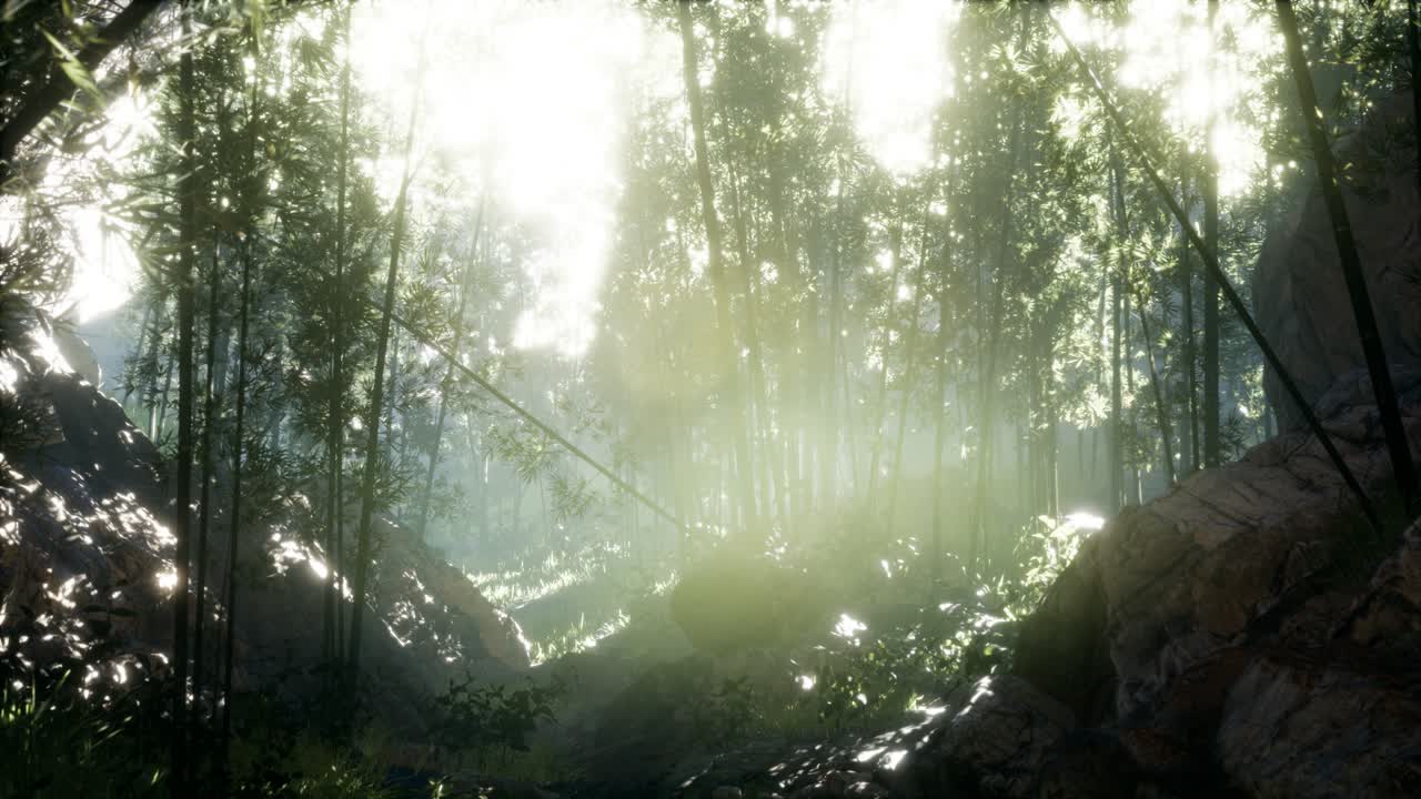 돌이 있는 연못의 연안 근처에 있는 울창한 초록색 대나무 잎.