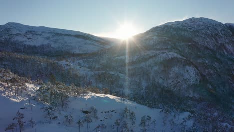 flying over dense frozen forest with bright sun close to tall mountains -snow sleet coming sideways and snow storm blowing from mountain tops in distant - hardangervidda norway