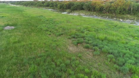 Aerial-flight-over-deer-in-a-field-in-Stonewall-Texas-next-to-the-Pedernales-River