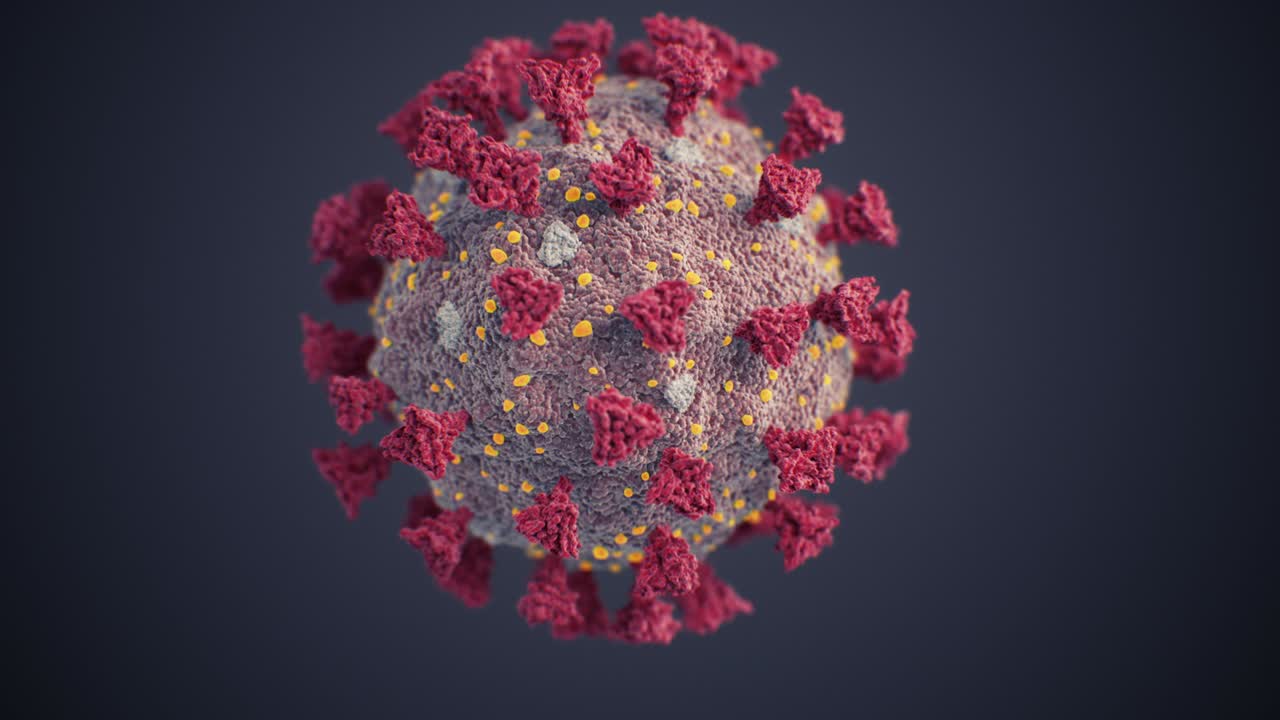 ilustración de modelo científico de coronavirus covid-19 sin costuras. animación en 3d en bucle del virus corona chino 2019-ncov en primer plano en fondo negro concepto médico aislado.