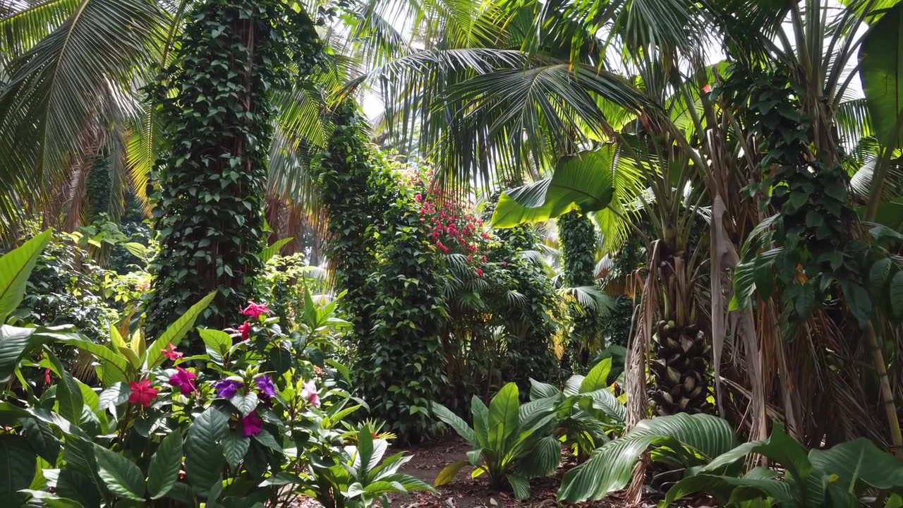 Rigoglioso giardino tropicale con palme e fiori vivaci