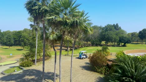 golf course with palm trees and golf carts