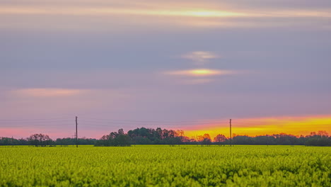 Alejar-La-Toma-De-Lapso-De-Tiempo-Del-Campo-De-Colza-Amarillo-Durante-La-Puesta-De-Sol-De-Color-Naranja-Detrás-Del-Paisaje-Nublado