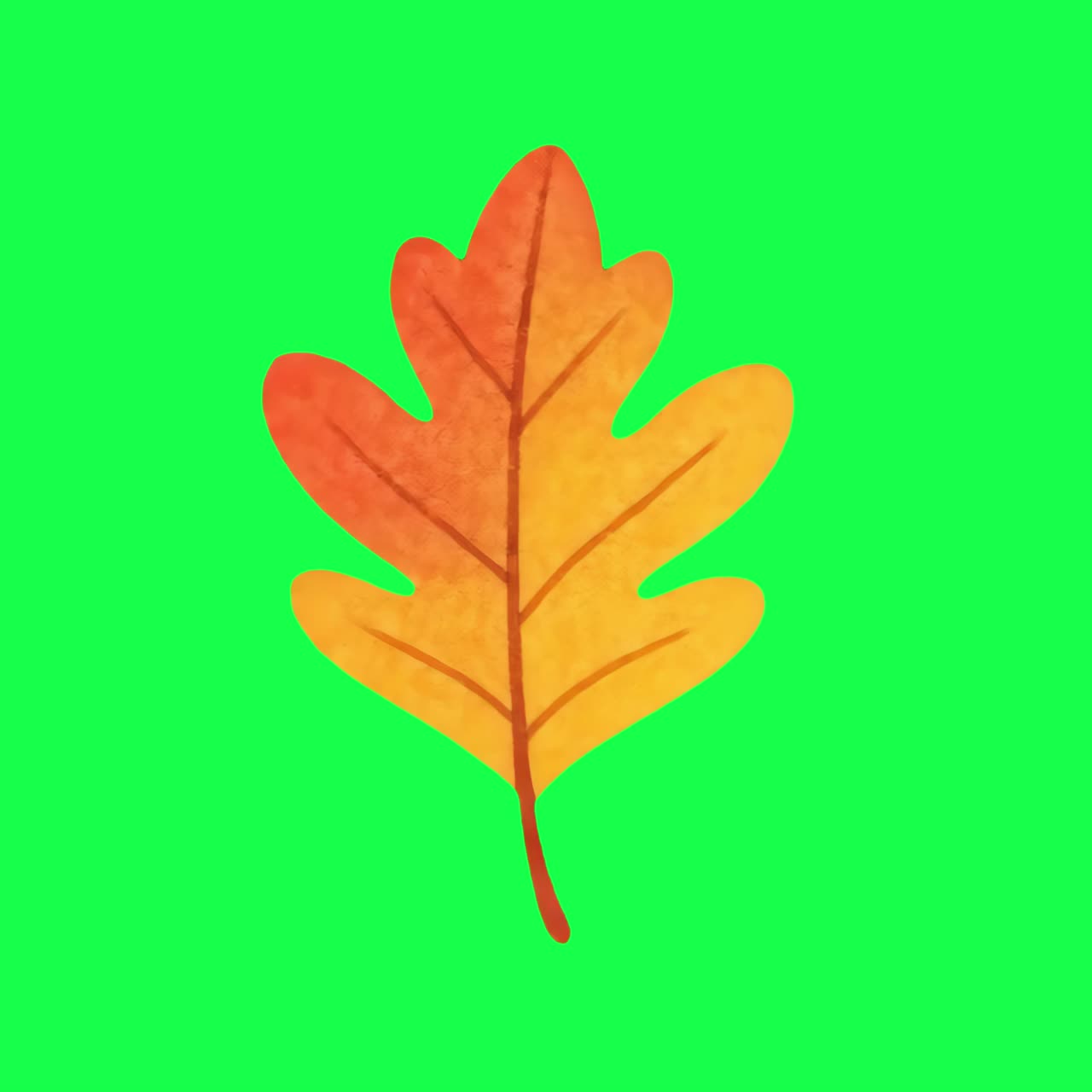 Vibrant autumn leaf illustration animation, transparent 4K video, green screen