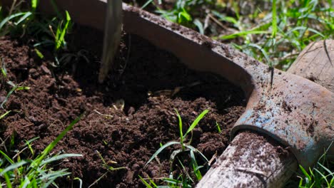 slow motion shot of a golden bitcoin being dug up from soil