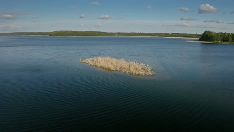 Luftaufnahme-Der-Vögel-Auf-Der-Insel,-Umgeben-Von-Ruhigem-Wasser-Bei-Tageslicht