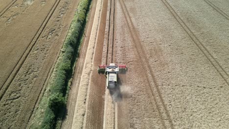 aerial footage of a combine harvester and tractor harvesting a wheat crop