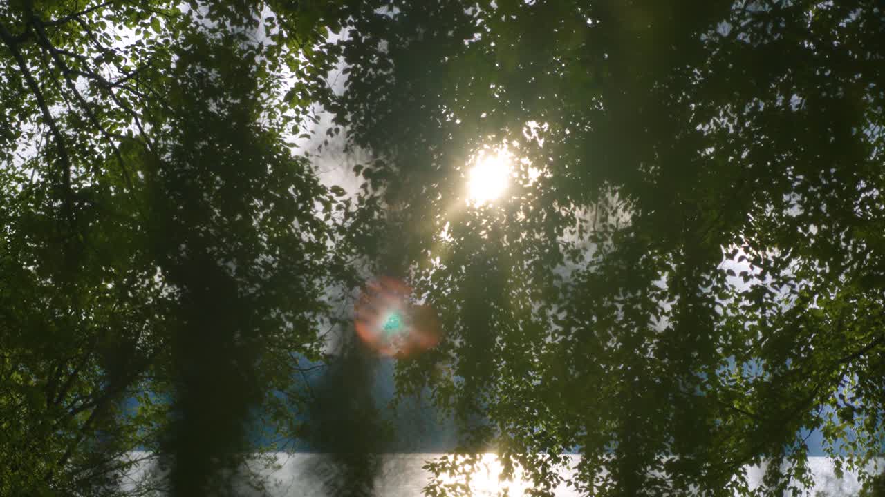 a scenic shot the sun shining through the leaves of trees around the coastline in Lions Bay, British Columbia, Canada