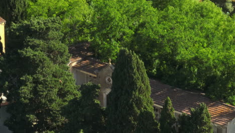 overgrown trees surround an old, abandoned villa, hidden in lush greenery on a sunny day