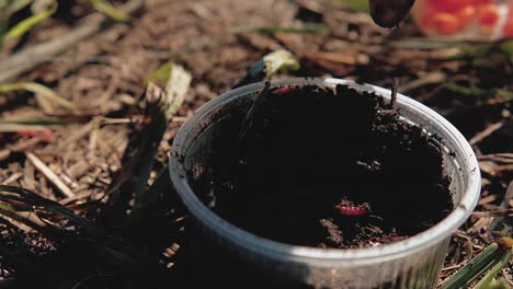 Cebo-Lombriz-Está-En-El-Frasco-El-Pescador-Muerde-El-Anzuelo