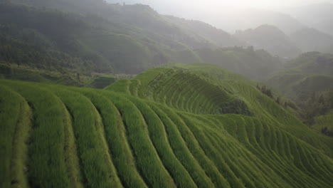 Vista-Aérea-De-Los-Campos-De-Arroz-En-Terrazas-En-Un-Día-Brumoso-En-La-Aldea-De-Dazhai,-Guangxi,-China---Disparo-De-Drones