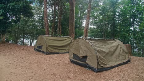 close up, camping swags at a camp ground in the bush