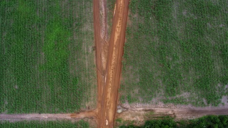 Aerial-drone-birds-eye-top-view-shot-passing-over-a-small-red-sand-dirt-road-surrounded-by-large-fields-of-tropical-green-sugar-cane-growing-in-Tibau-do-Sul,-Rio-Grande-do-Norte,-Brazil