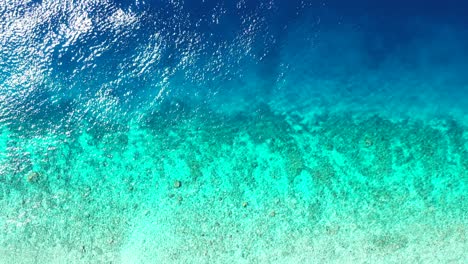 Beautiful-shoreline-of-tropical-island-with-blue-turquoise-lagoon-calm-water-over-coral-reefs-and-pebbles-in-Caribbean