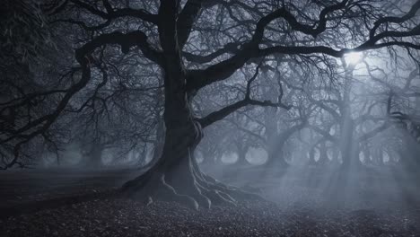 eerie forest scene with twisted trees under moonlight