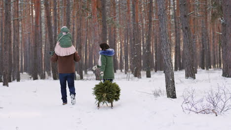 Zwei-Eltern-Mit-Einem-Kind,-Das-Einen-Neujahrsbaum-Auf-Einem-Schlitten-Auf-Einem-Verschneiten-Wald-4k-Video-Fährt