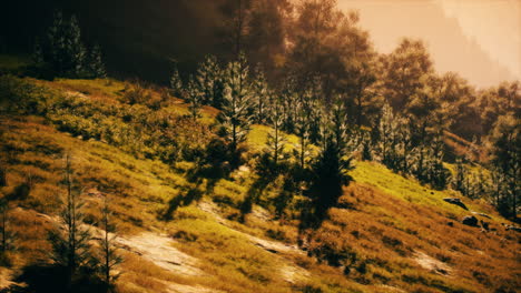 Mañana-De-Otoño-Con-Niebla-En-Las-Montañas