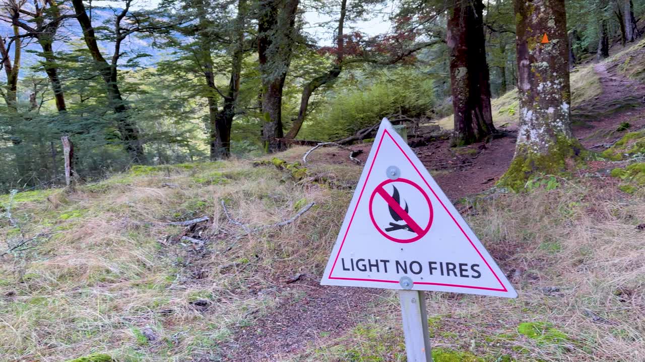 A serene forest landscape with a prominent 'No Fires' sign. Natural lighting highlights the lush greenery and tranquil environment