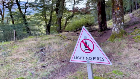 a serene forest landscape with a prominent 'no fires' sign. natural lighting highlights the lush greenery and tranquil environment
