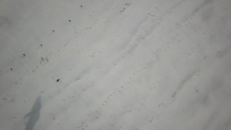 vista aérea superior de la gente y sus sombras caminando sobre la arena en connemara, irlanda
