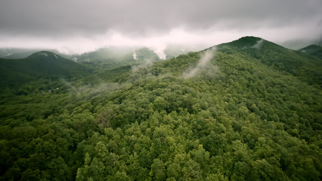Drone footage offering a smooth flight above a mist-rich Smokies valley
