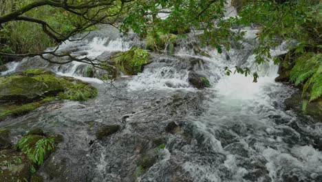 Parga-River-Flowing-Over-Rocks-In-Tropical-Jungle-In-Spain