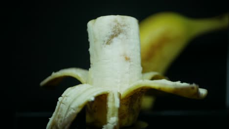 fruit banana rotting with flies feeding closeup