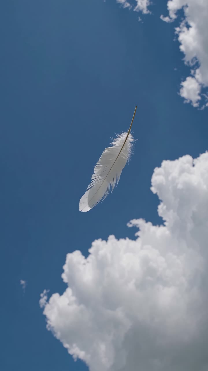 A serene video scene with a feather floating against a blue sky, surrounded by fluffy clouds
