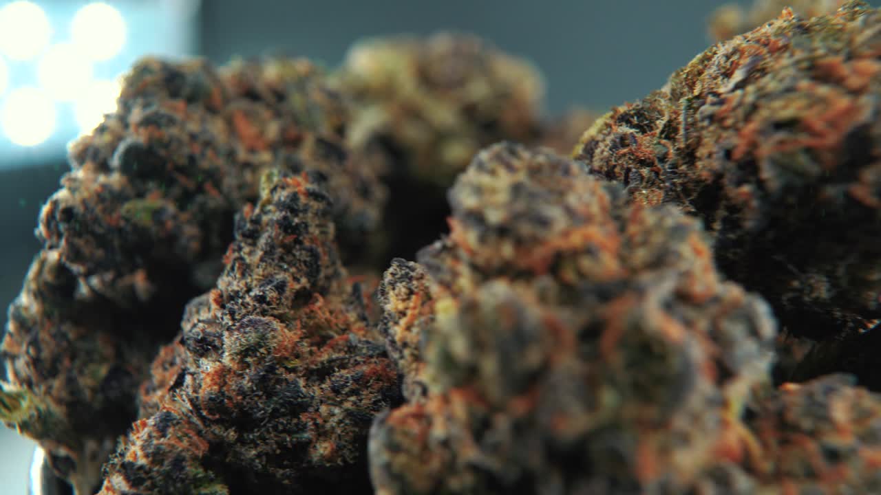 A macro cinematic detailed shot of a cannabis plant, orange hybrid strains, Indica and sativa , purple marijuana flower, on a rotating stand, slow motion, 4K, professional studio lighting