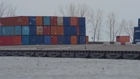 stationary shot of colorful shipping containers on dock in lake erie harbor with birds flying