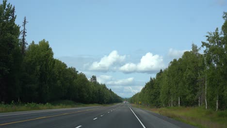 driving down a large isolated road in forest