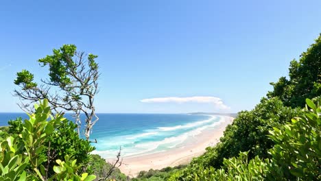 a tranquil glimpse of the ocean through green leaves