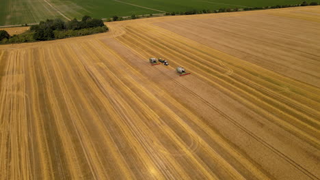 Scenic-aerial-flyover-showing-combine-harvester-machines-on-golden-wheat-fields-during-sun