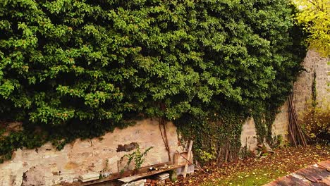 un dron se eleva lentamente a lo largo de una muralla de piedra cubierta de plantas, pasa sobre ella y abre el panorama a una ciudad histórica