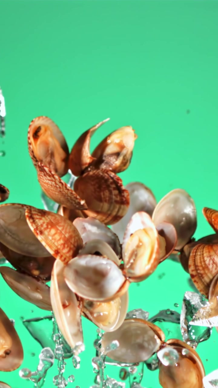 Fresh Clams and Ice Cubes Dropping into Water on Green Background