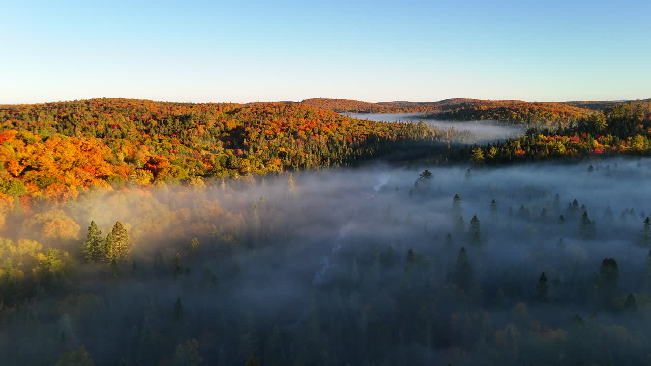 Aerial view of autumn forest and mountains in vivid colors with morning fog in Mauricie, Quebec, Canada. Soft sunlight illuminates the colorful foliage over peaceful wilderness