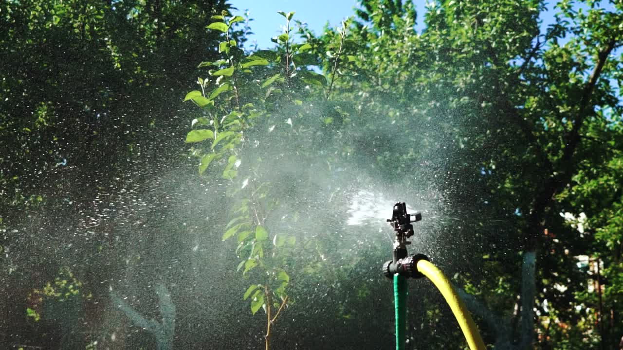 An automatic irrigation system quickly sprays water in different directions of the vegetable garden at the cottage, wetting the soil surface in the summer day. Close-up.