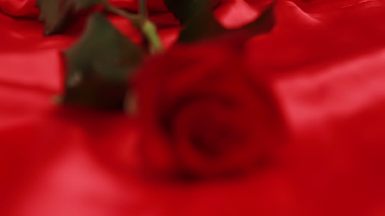 은 실크에 은 장미